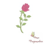 Matrizes de Bordados Coleção Rosas e Coleção Alfabeto Flores - Imagem 12