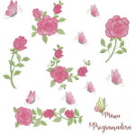 Matrizes de Bordados Coleção Rosas e Coleção Alfabeto Flores - Imagem 16