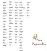 Matriz de Bordado - Pacote 100 Nomes Masculinos - Imagem 4