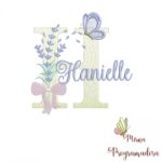 Matriz de Bordado - Nome Hanielle