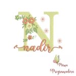 Matriz de Bordado - Nome Nadir