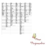 Matriz de Bordado Coleção Nomes Moldura Flores Lacinho - Imagem 5