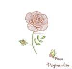 Matrizes de Bordados Coleção Flores em Rosas da Mirna - Imagem 11