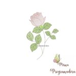 matriz-de-bordado-botao-rosa