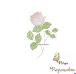 Matrizes de Bordados Coleção Flores em Rosas da Mirna - Imagem 6