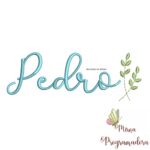 matriz-de-bordado-pedro8