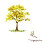 Matriz de Bordado - Ipê Amarelo