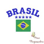 matariz-de-bordado-brasil-estrela-bandeira
