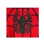 Matriz de Bordado - Aranha