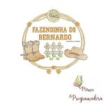 Matriz de Bordado - Bernardo (fazemos Qualquer Nome)