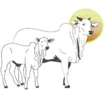 Matriz de Bordado - Boi