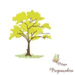Matriz de Bordado - Ipê Amarelo