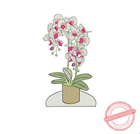 matriz-de-bordado-orquidea-embroidery Matriz de Bordado - Orquidea - Imagem 1