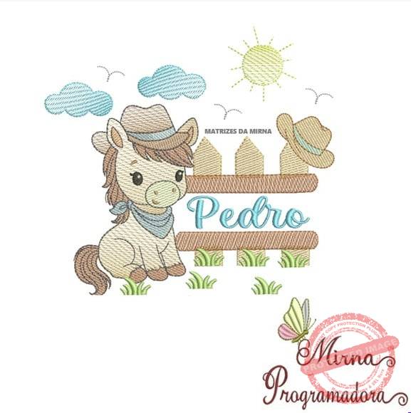 matriz-de-bordado-pedro-fazemos-qualquer-nome-elna Matriz de Bordado - Pedro (fazemos Qualquer Nome) - Imagem 1