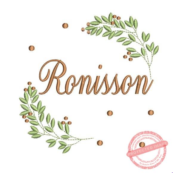 matriz-de-bordado-ronisson-fazemos-qualquer-nome-dst Matriz de Bordado - Ronisson (fazemos Qualquer Nome) - Imagem 1