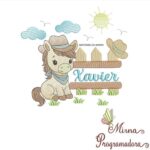 Matriz de Bordado - Xavier (fazemos Qualquer Nome)