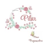 Matriz de Bordado Pilar Moldura Floral