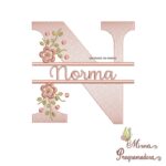 matriz de bordado-norma