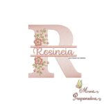 matriz de bordado-rosineia