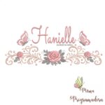 matriz de bordado arabesco rosas borboletas nome-hanielle-mirna 068